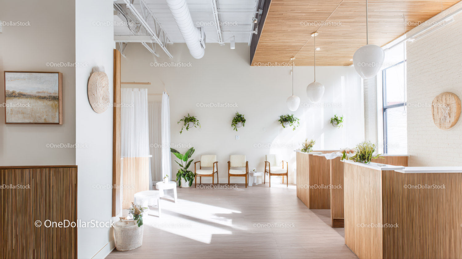 Bright Modern Interior with Indoor Plants and Wooden Accents