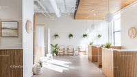 Bright Modern Interior with Indoor Plants and Wooden Accents