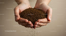 Hands Holding Loose Instant Coffee Granules