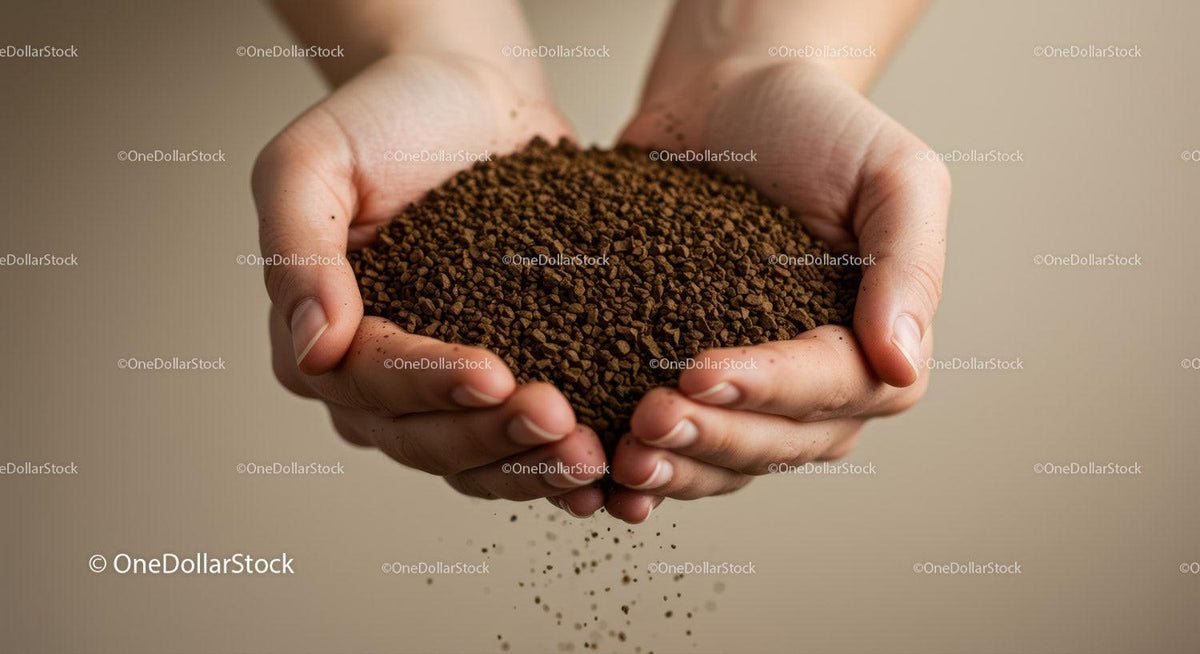 Hands Holding Loose Instant Coffee Granules