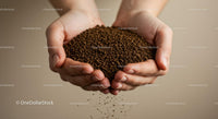 Hands Holding Loose Instant Coffee Granules