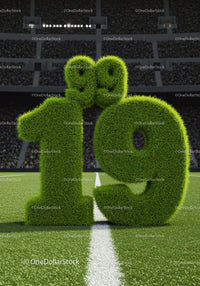 Grass-Covered Number Nineteen on Soccer Field