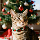 Tabby cat with festive collar near Christmas tree