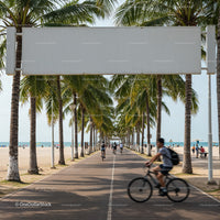 Palm tree lined beach pathway with cyclists