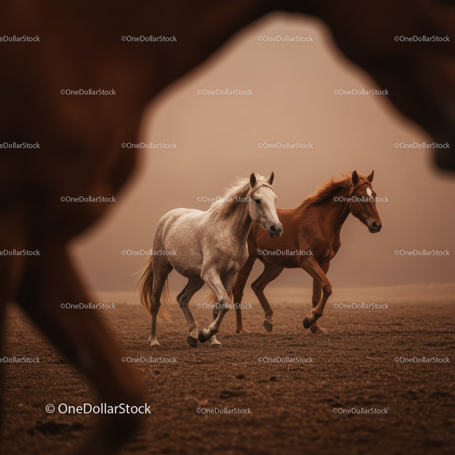Majestic Herd of Brown Horses Running in Sunset Landscape