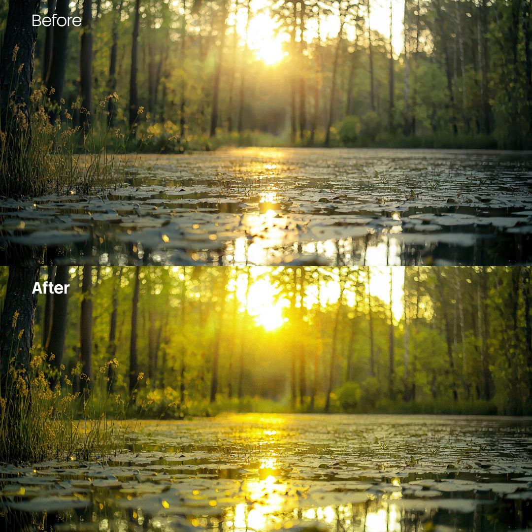 Before and after Forest Warm Glow Grain Lightroom preset edit