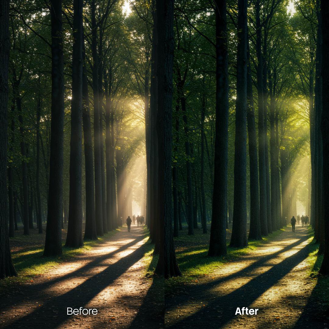 outdoor photography edit with Dreamy Woodland Lightroom presets