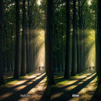 outdoor photography edit with Dreamy Woodland Lightroom presets