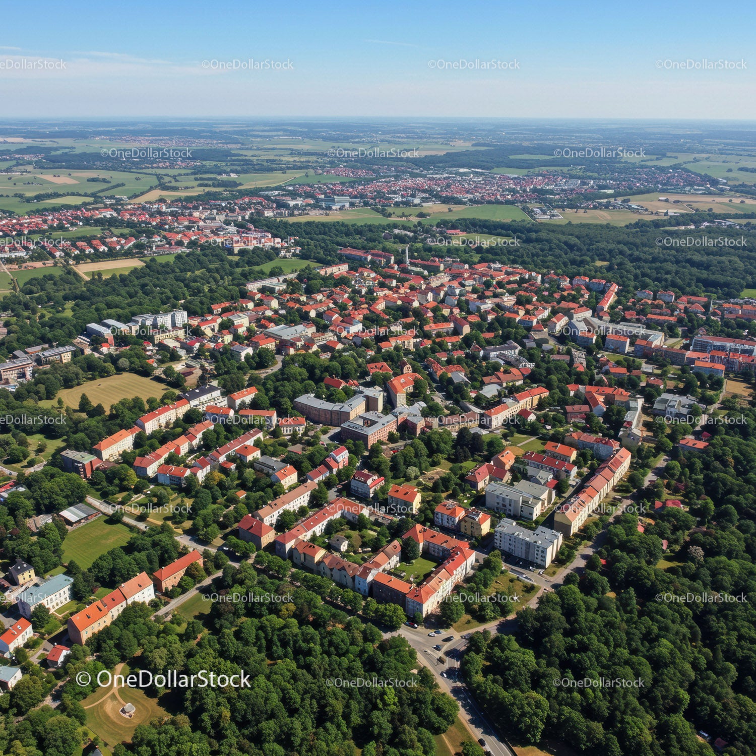Widok z lotu ptaka na zieloną podmiejską dzielnicę z czerwonymi dachami i drzewami
