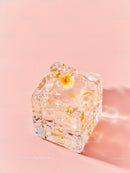 Close up of flower frozen in ice cube on pink background