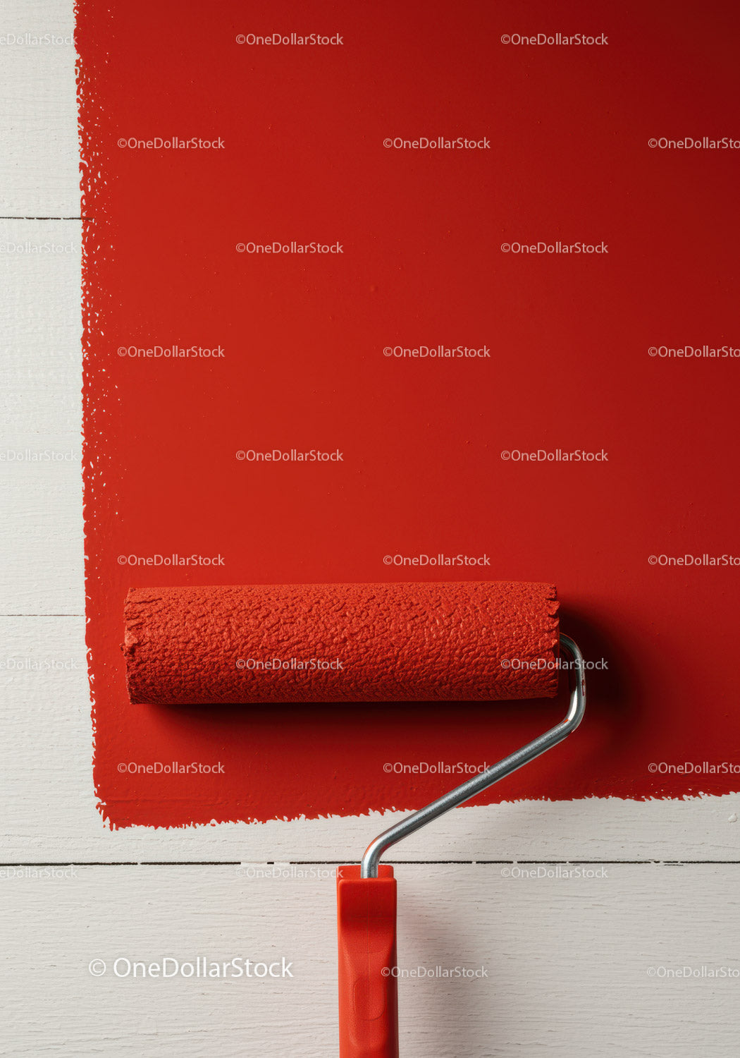 Red Wall Paint Application with Roller Brush