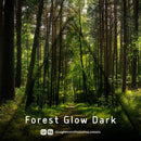 Forest Glow Dark Lightroom presets cover preview