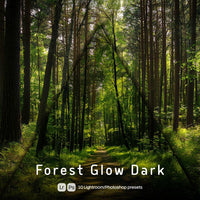 Forest Glow Dark Lightroom presets cover preview