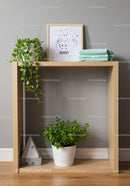 Indoor Shelf with Green Houseplants and Minimalist Decor