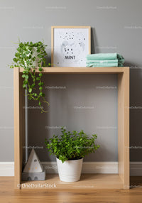 Indoor Shelf with Green Houseplants and Minimalist Decor