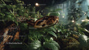 Ball Python Snake in Dense Green Foliage in a Tropical Habitat