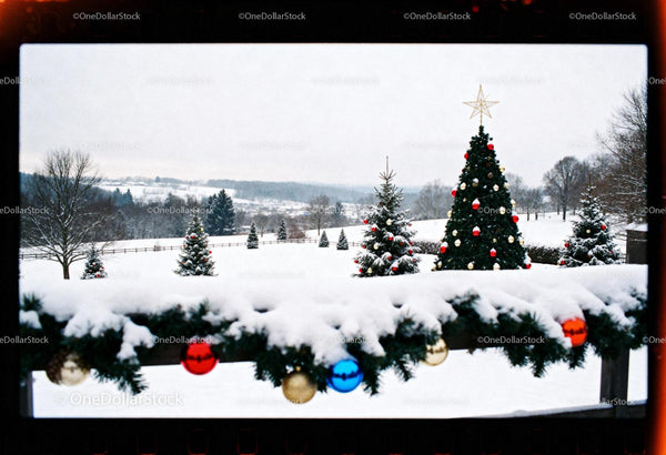 Snowy winter landscape with decorated Christmas trees