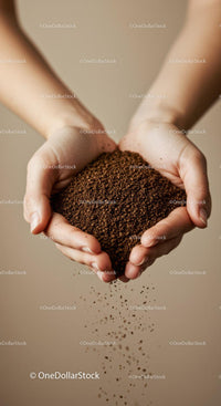 Hands Holding and Pouring Granular Soil in Warm Light