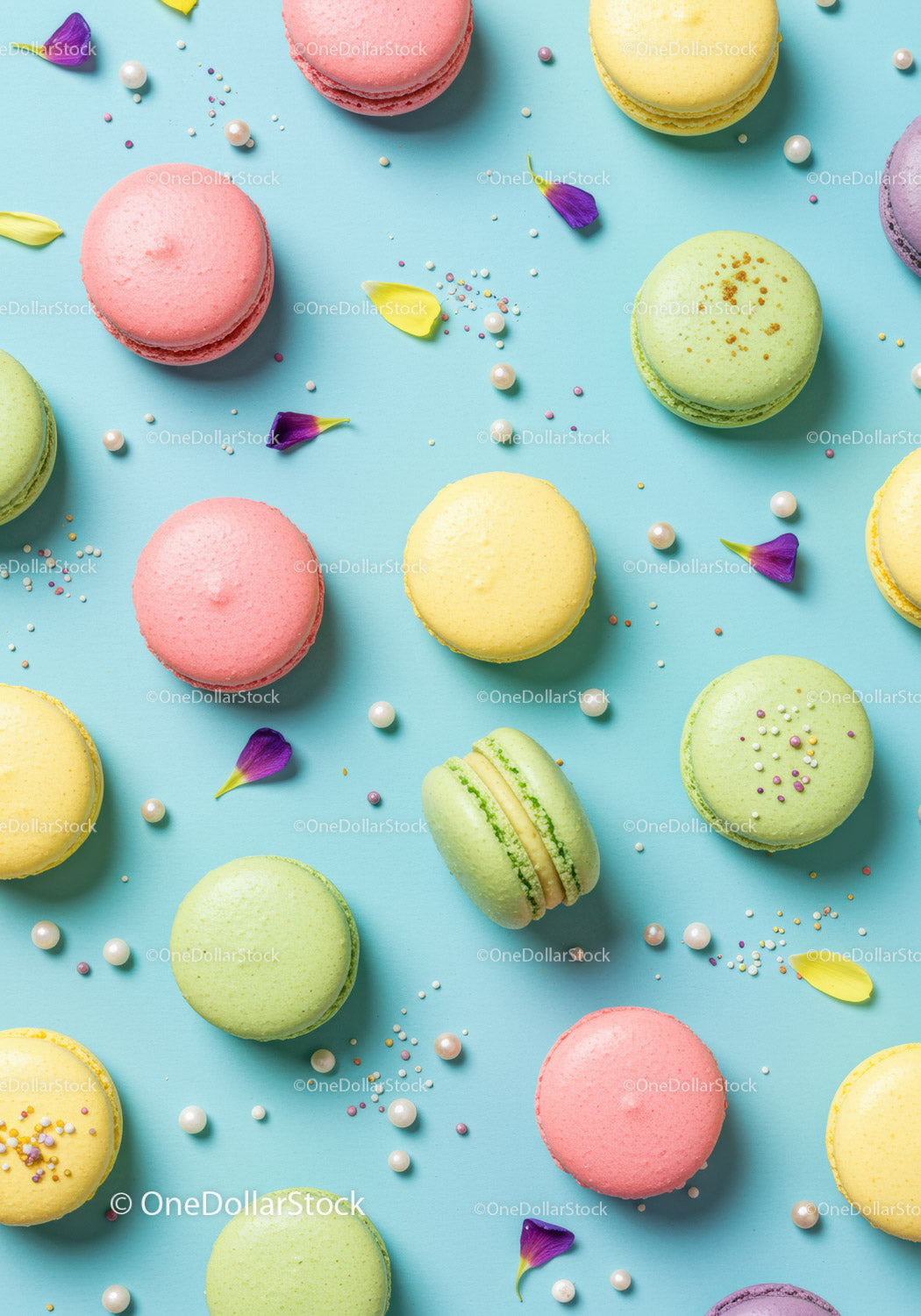 Assorted colorful macarons with decorative petals and pearls