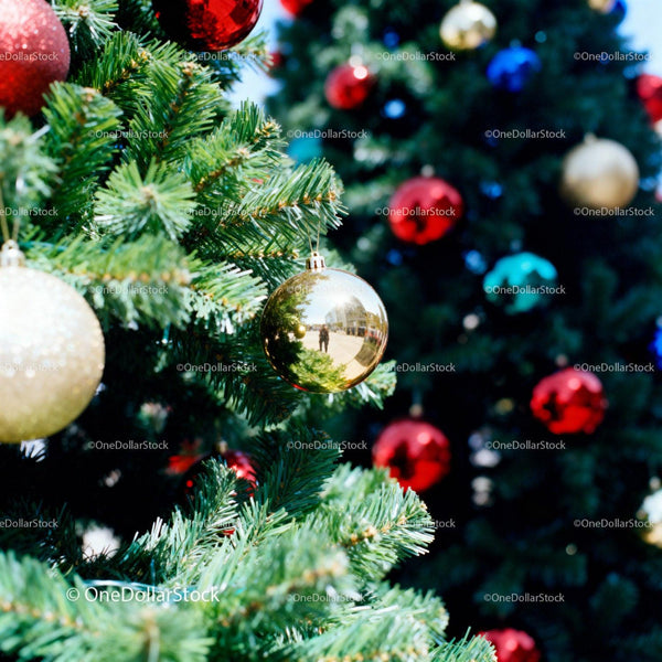 Detailed Close-Up of Festive Christmas Tree Ornaments
