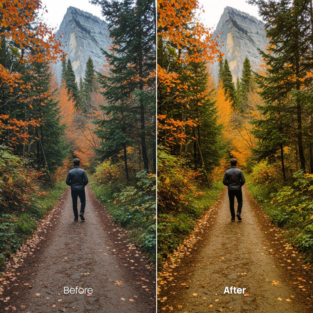 Before and after Forest Glow Autumn LUT Pack effect