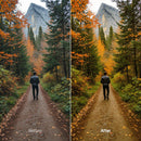Before and after Forest Glow Autumn LUT Pack effect