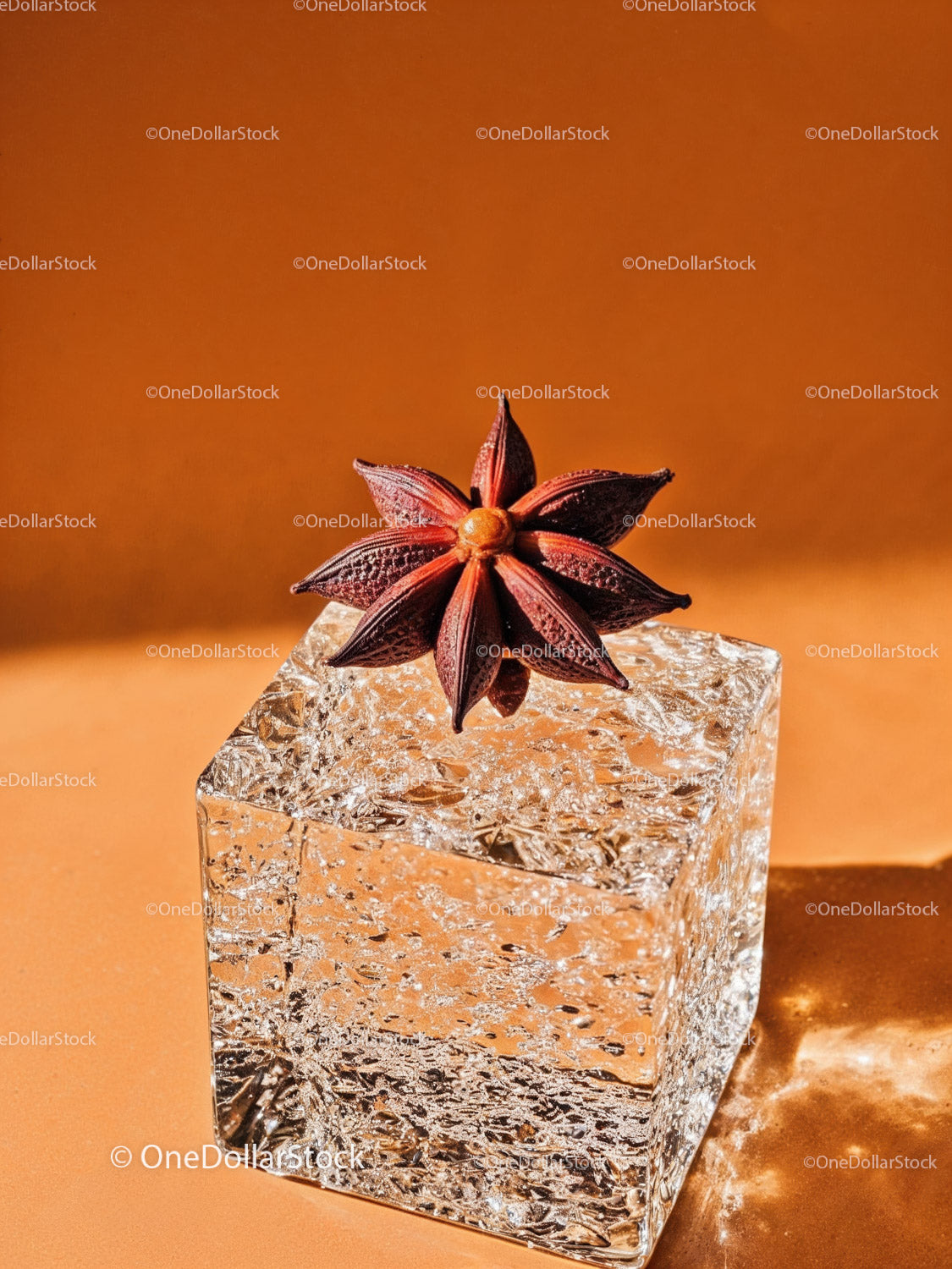 Star anise on textured glass cube with warm background