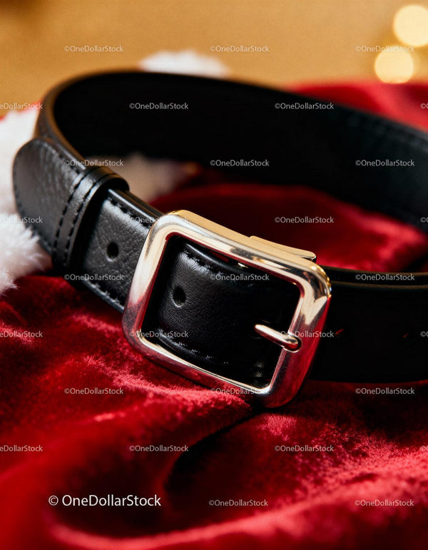 Close-up of Black Leather Belt with Silver Buckle on Red Fabric