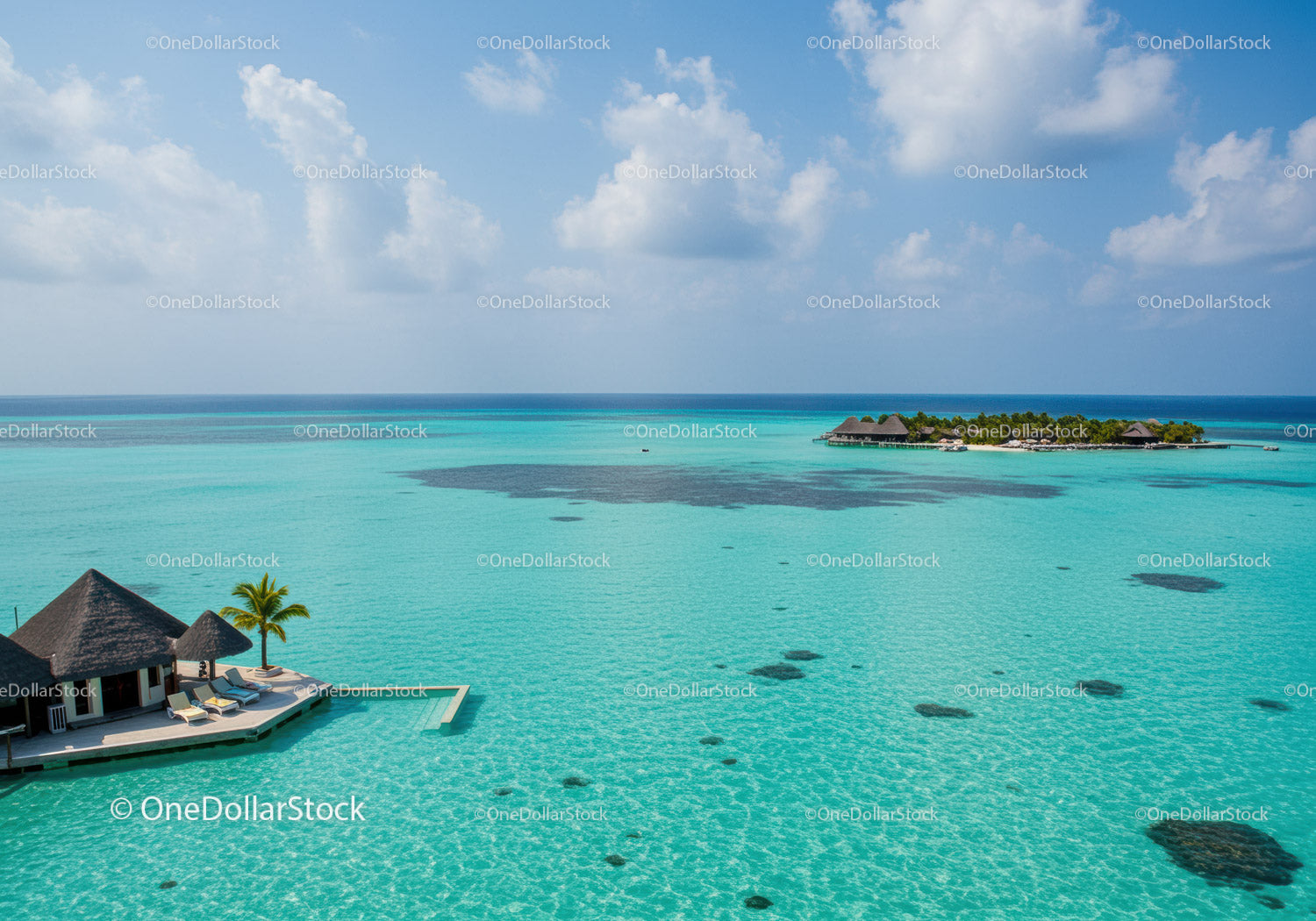Turquoise Ocean with Overwater Bungalows and Palm Trees at Paradise Island