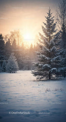 Sunset Over Snow Covered Winter Forest Landscape