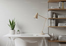 Modern Minimalist Home Office with Snake Plant and Wooden Shelves