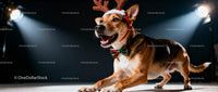 Happy dog wearing reindeer antlers and festive bow tie