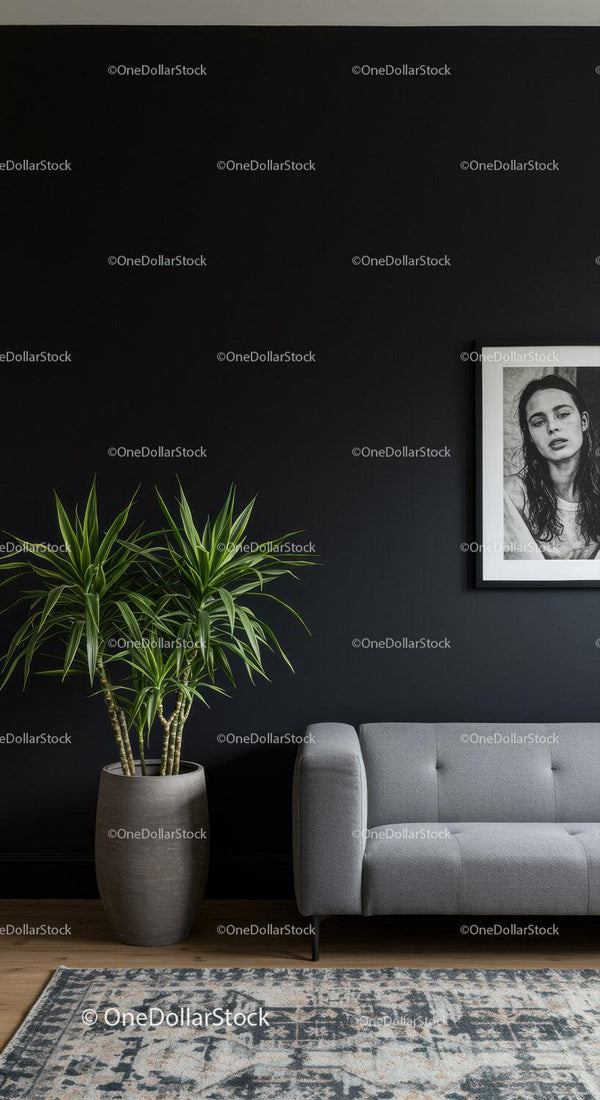 Modern Living Room with Green Potted Plant and Black Accent Wall