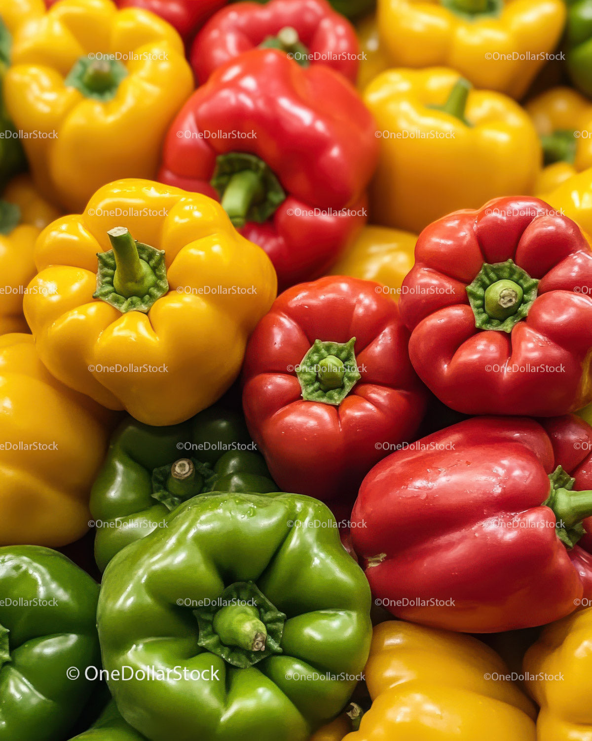 Asortyment papryki w żywych kolorach na ekspozycji świeżych produktów
