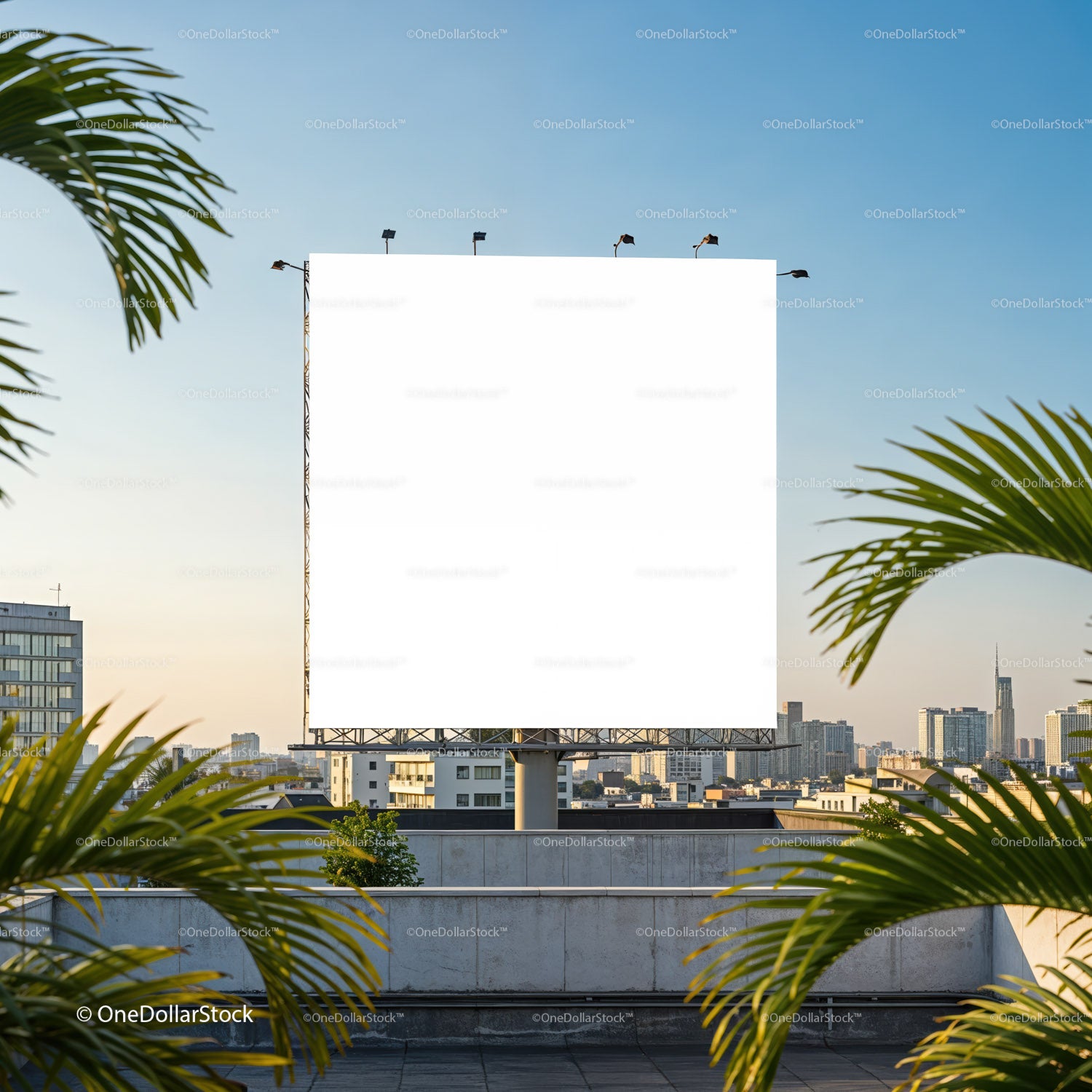 Pusty miejski billboard otoczony roślinami tropikalnymi o zachodzie słońca