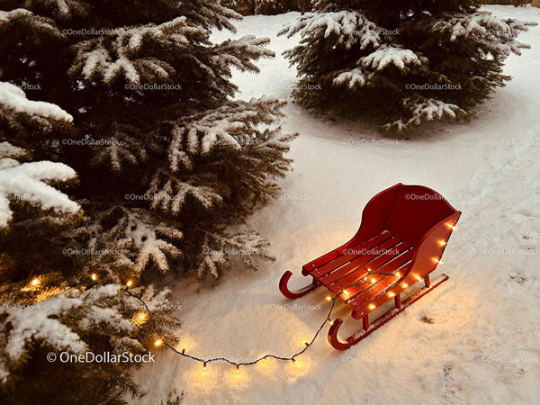 Red Sleigh with Warm Lights by Snowy Pine Trees