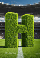 Grass Sculpted Letter H on Soccer Stadium Field