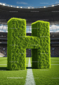 Grass Sculpted Letter H on Soccer Stadium Field