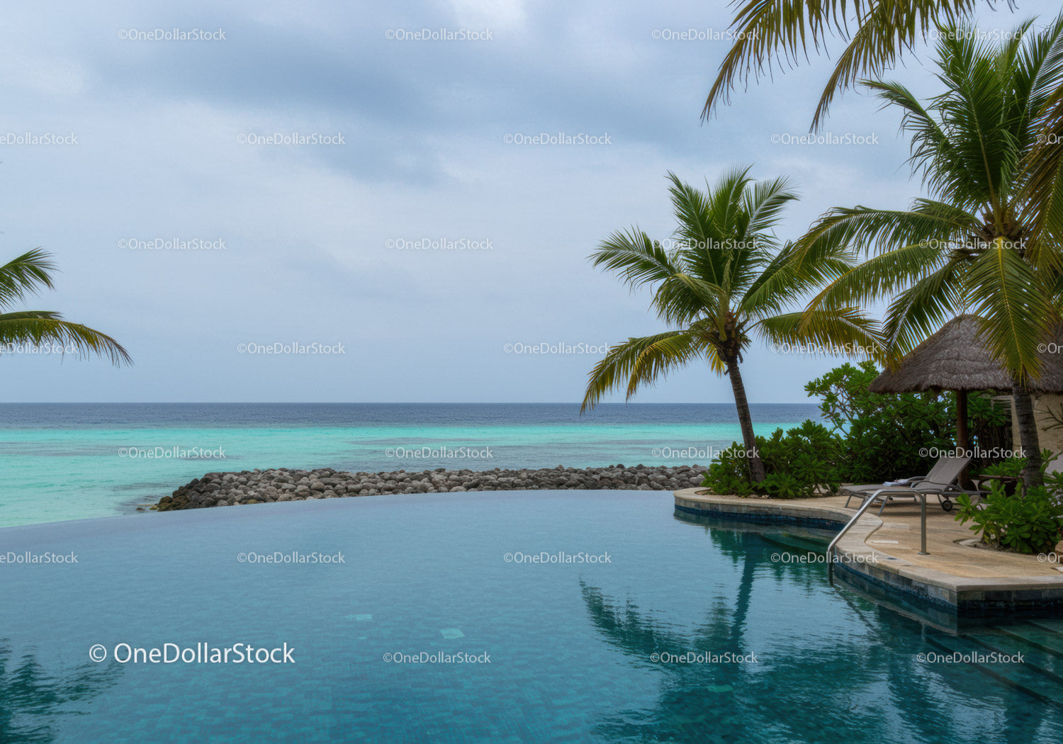 Tropical Resort Scene with Palm Trees and Infinity Pool Overlooking Sea