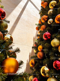 Festive Christmas trees decorated with colorful baubles