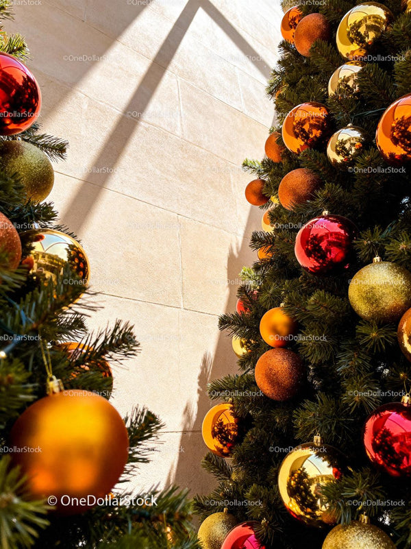 Festive Christmas trees decorated with colorful baubles