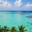 Turquoise Ocean with Palm Trees and Clear Blue Sky Scenic View
