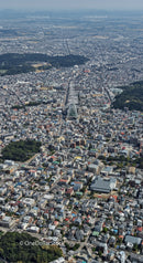 Aerial View of Tokyo with Tokyo Tower and Dense Urban Landscape