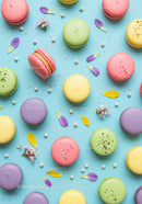 Colorful macarons with flower petals on blue background