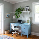 Bright Modern Home Office with Blue Desk and Green Monstera Plant