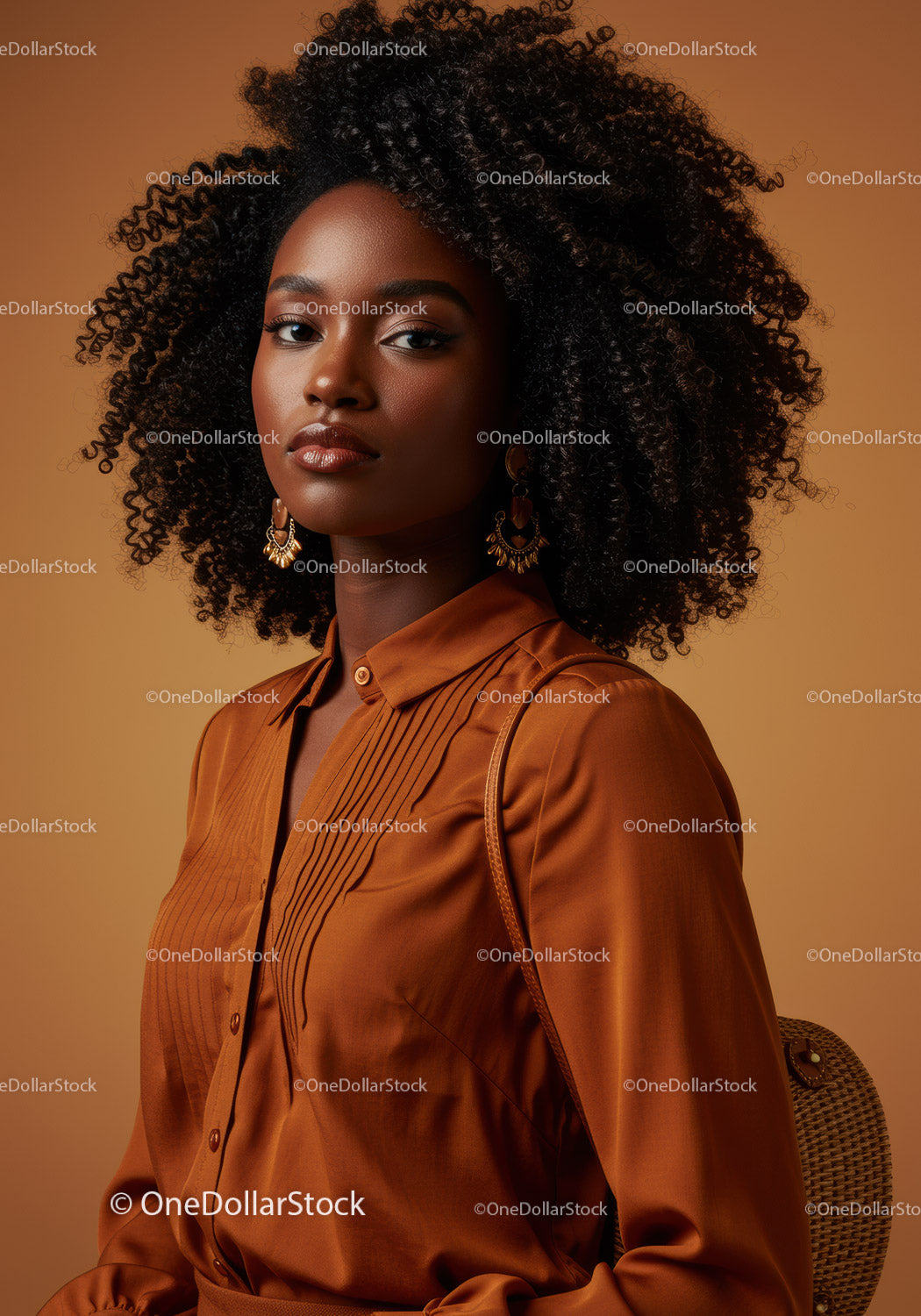 Elegancka Afroamerykanka w stylowej brązowej bluzce w studiu