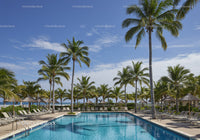 Tropical Resort Scene with Palm Trees and Swimming Pool Under Blue Sky