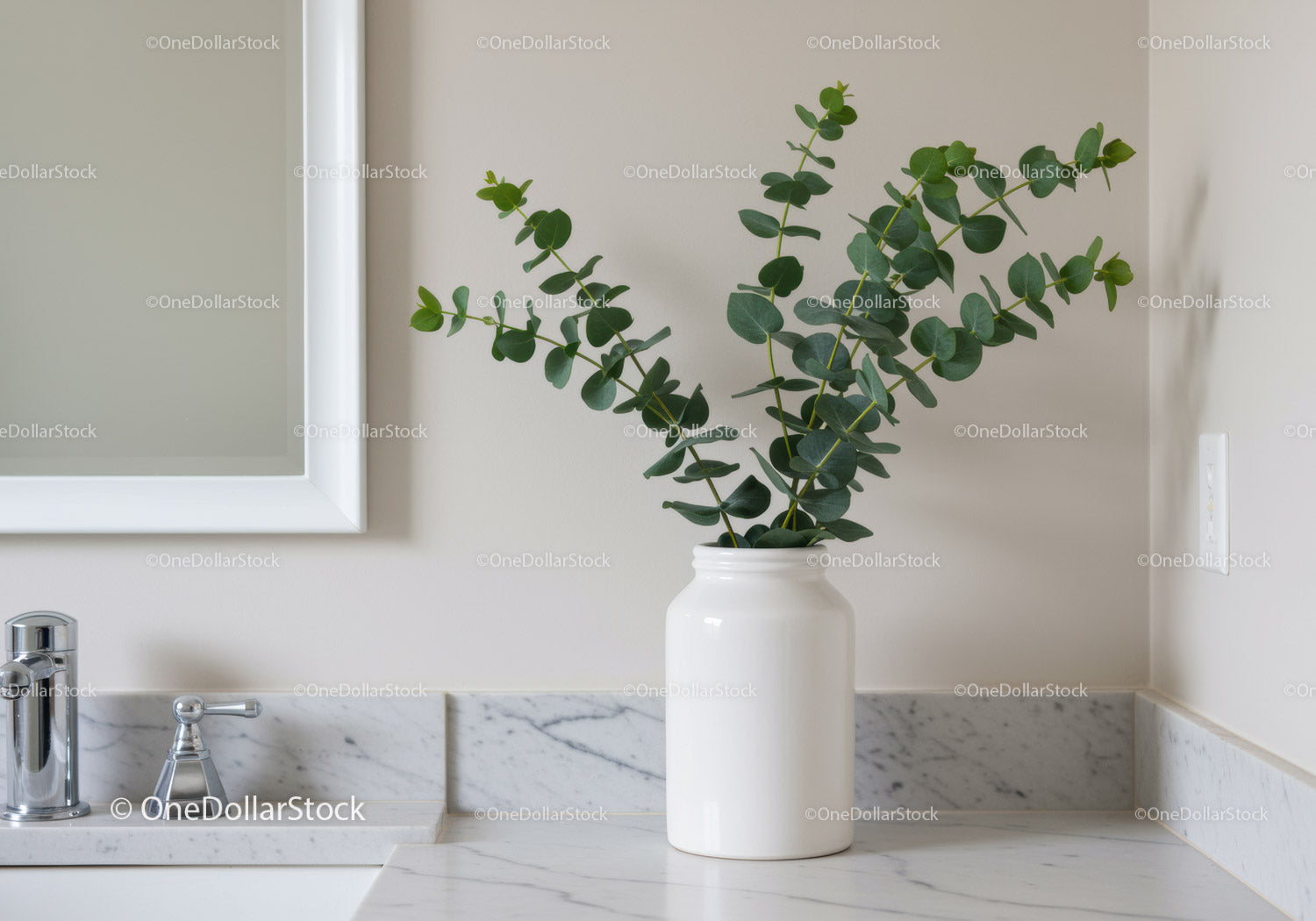 Eucalyptus Plant in White Ceramic Vase on Marble Bathroom Counter