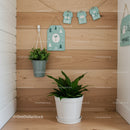 Indoor Green Plants and Botanical Wall Decor for Stylish Home