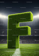 Grass Covered Letter F on Soccer Field at Night